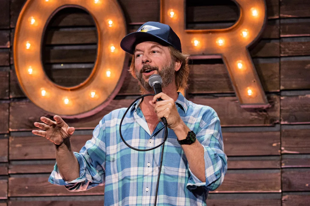 Audience at a David Spade concert